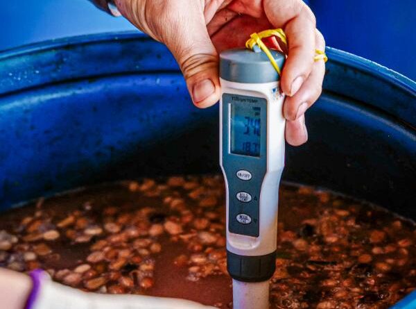 Quy trình kiểm soát nhiệt độ trong quá trình lên men