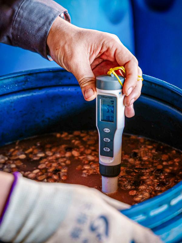 Quy trình kiểm soát nhiệt độ trong quá trình lên men