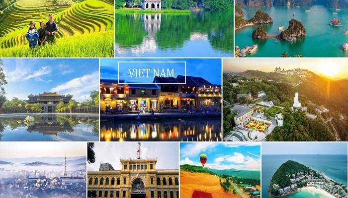Các ngành được đi nhiều nơi