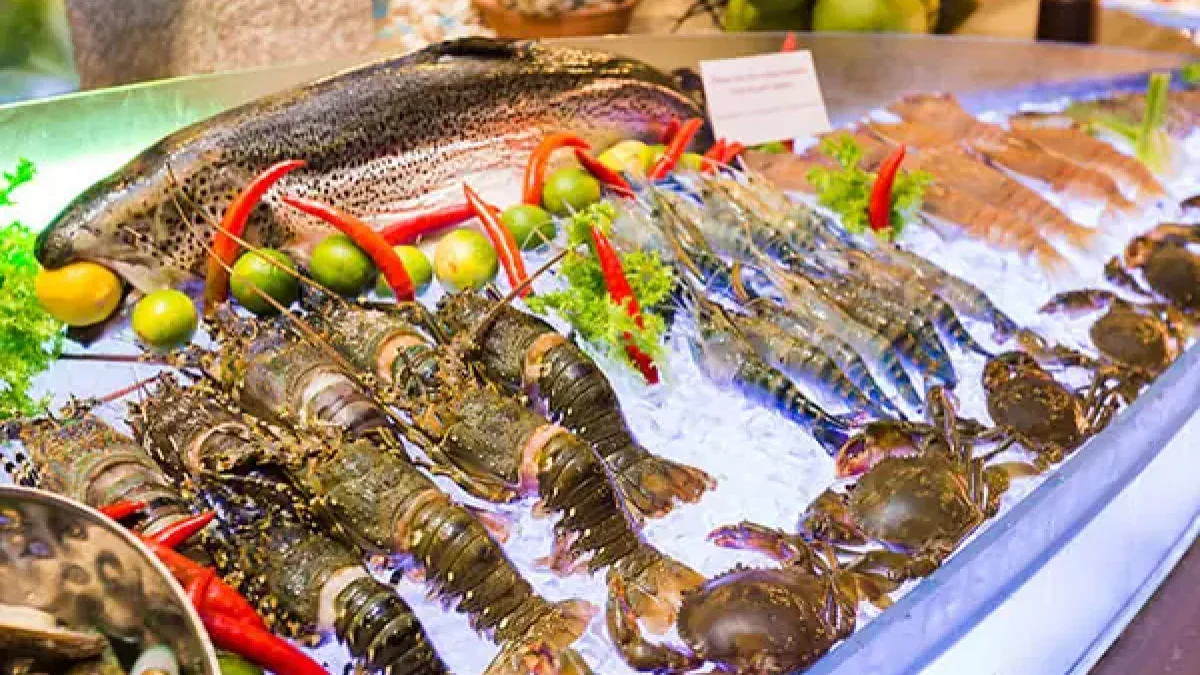 Thưởng thức hải sản tươi ngon tại vịnh